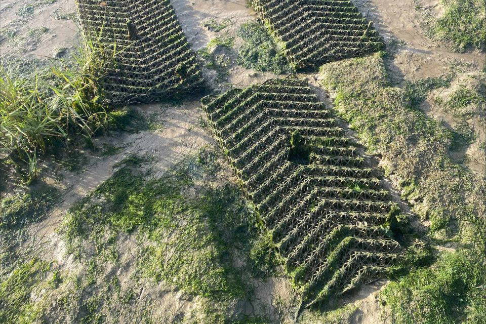 BESE matts installed on the saltmarsh near Southend