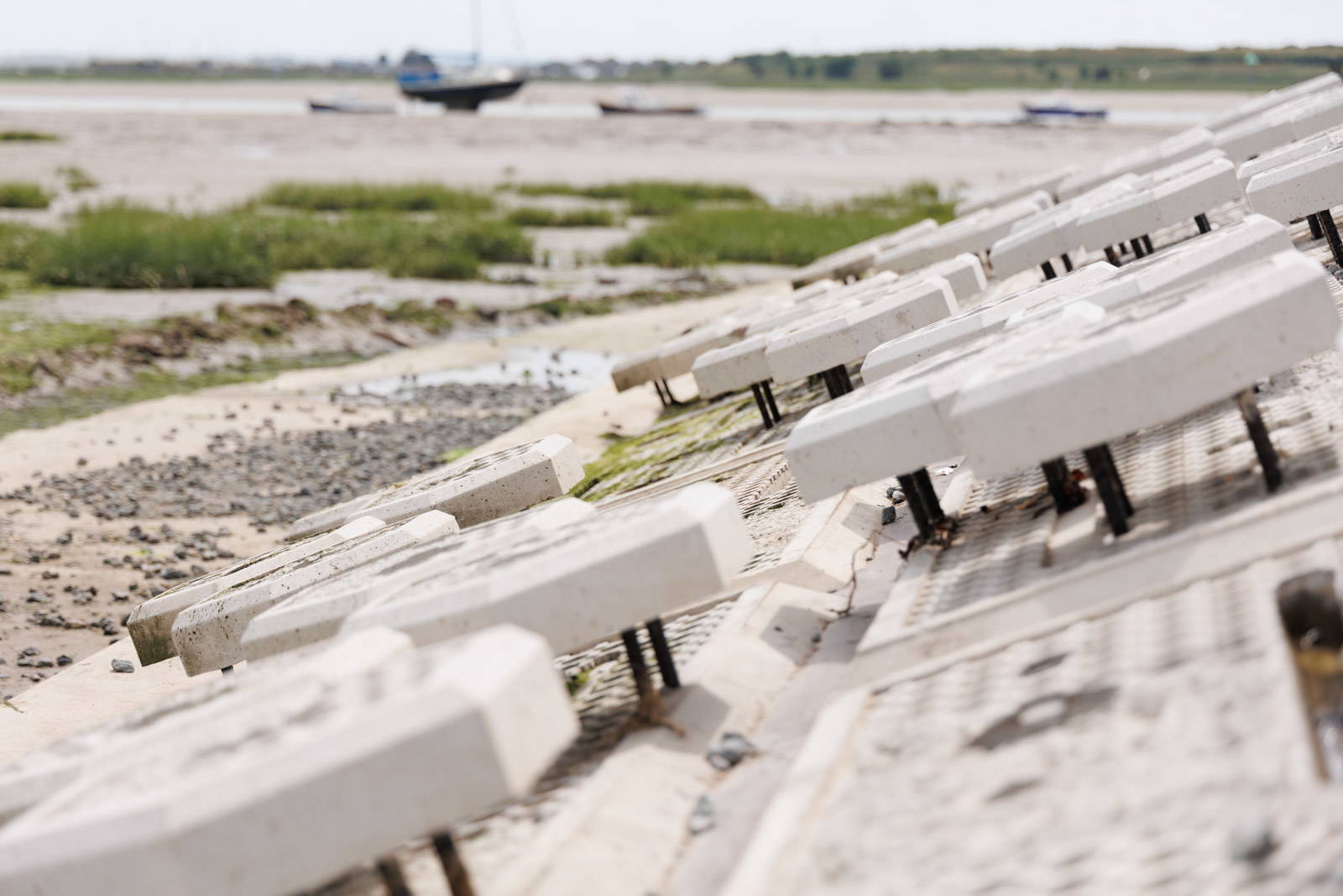 Exotiles at Two Tree Island