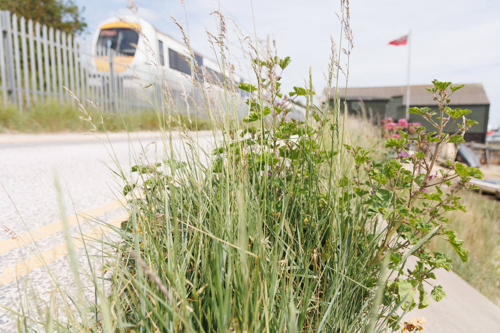 The narrow road at Leigh High Street runs between the sea and the railway line.