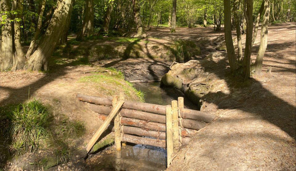 Leaky dam made of wood