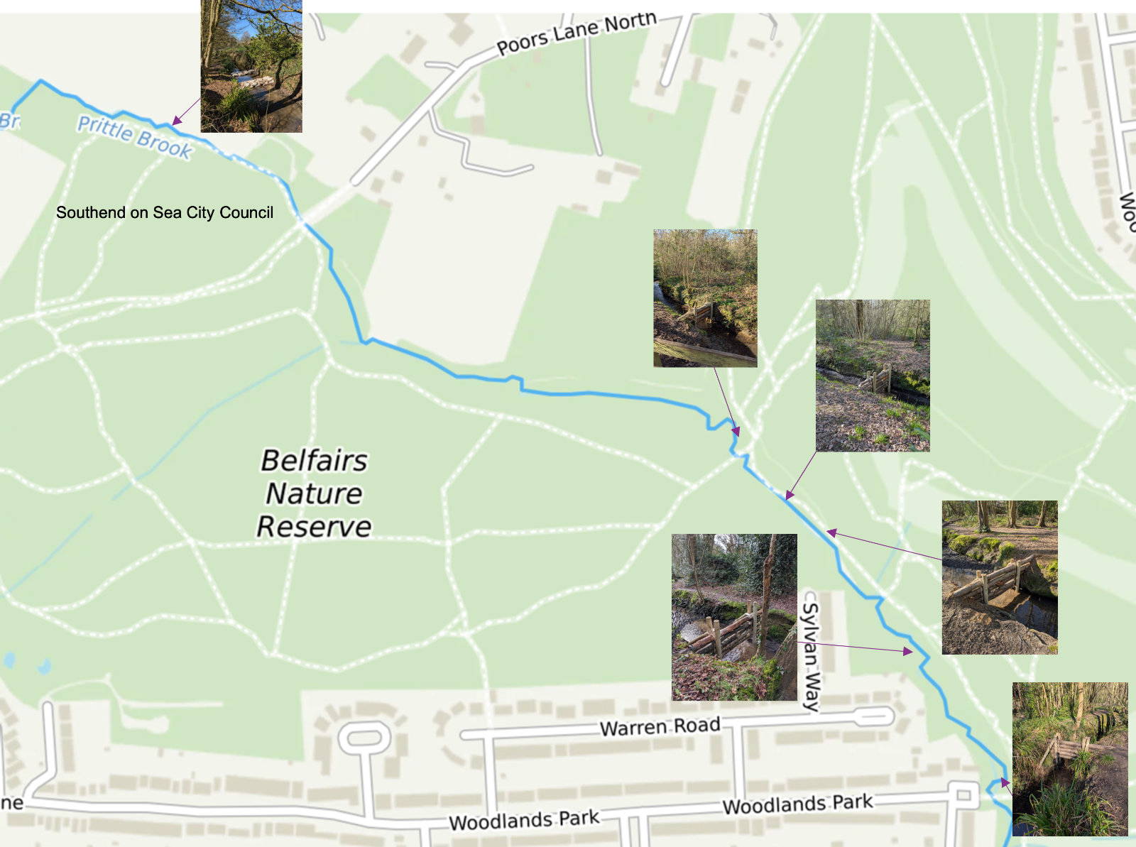 Map showing the location of the five leaky dams in Belfairs Wood