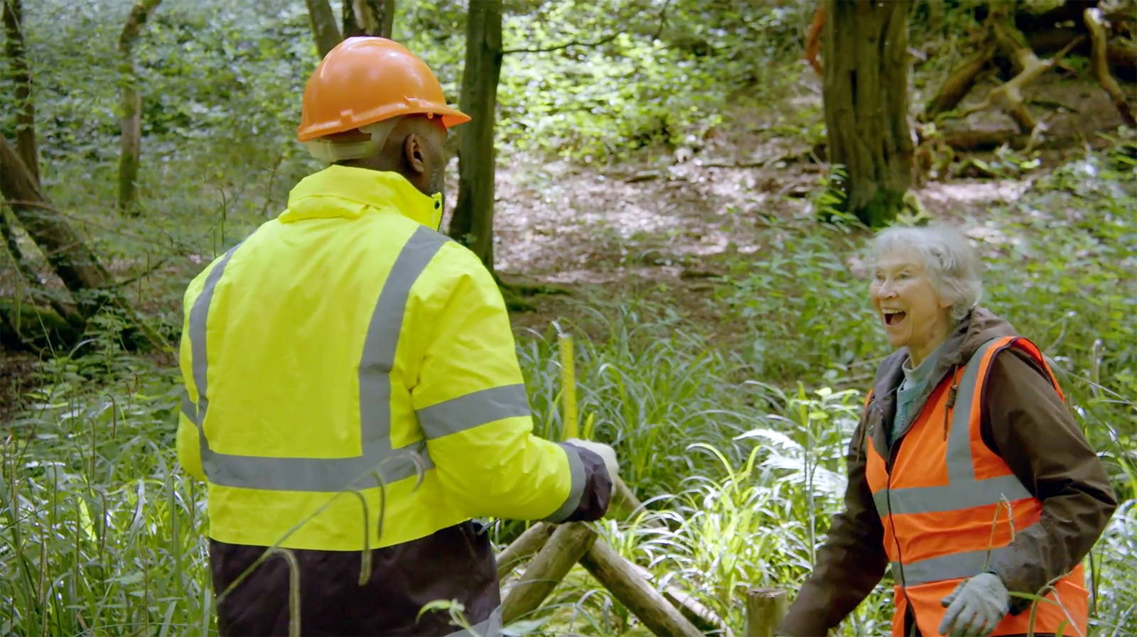 Volunteers build leaky dams in the woods